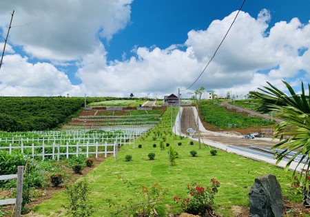 Đi đến slide 4