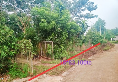 Đi đến slide 6