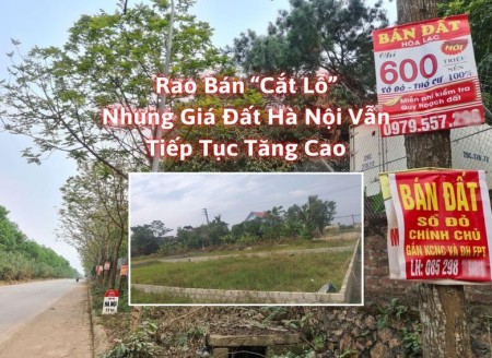 Ảnh bài viết: Rao bán “cắt lỗ” nhưng giá đất Hà Nội vẫn tiếp tục tăng cao