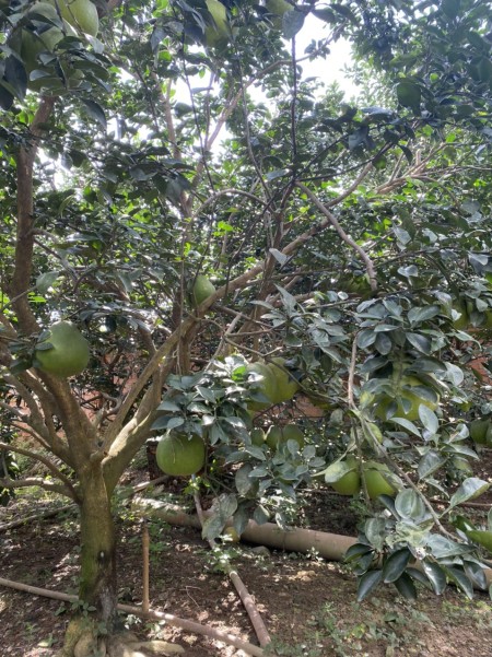 Đi đến slide 10