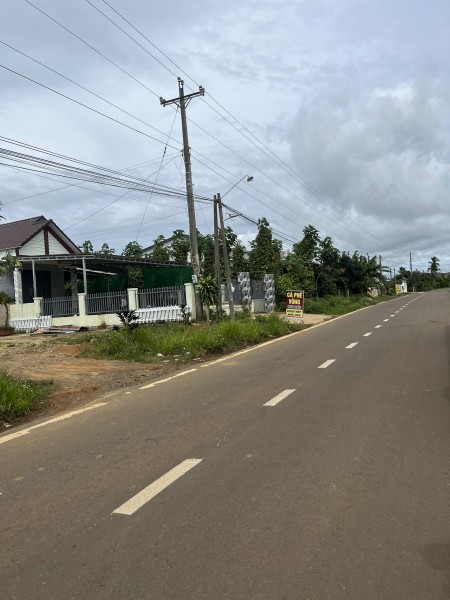 Bán nhanh lô đất cạnh Violet Homestay cực đẹp tại Bảo Lộc, 650 triệu, có thương lượng cao