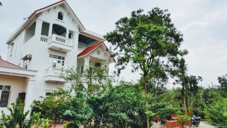 Cần bán gấp biệt thự ở Việt Trì, tỉnh Phú Thọ với tổng diện tích 3.300m² giá tốt