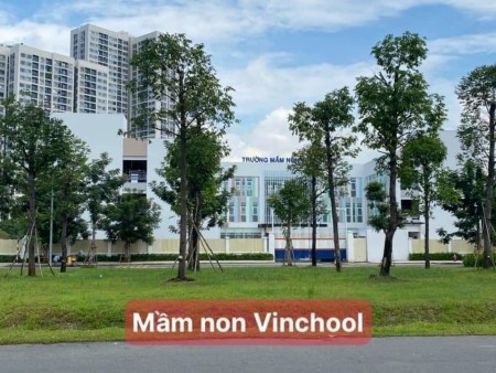Đi đến slide 7