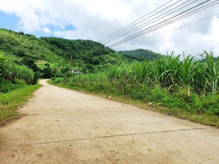 BÁN ĐẤT XÃ TÂN PHONG HÒA BÌNH S1000M2 GIÁ CHỈ 5,6 TRIỆU/M2.