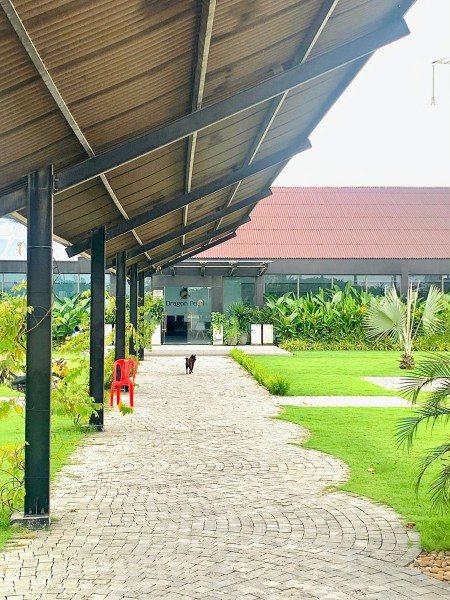 Đi đến slide 4