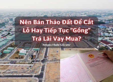 Nên bán tháo đất để cắt lỗ hay tiếp tục “gồng” trả lãi vay mua?