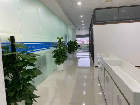 Đi đến slide 12