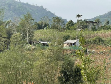 Đi đến slide 12