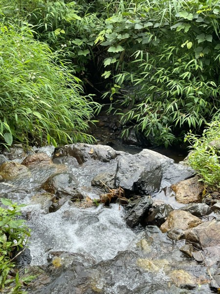 Đi đến slide 11