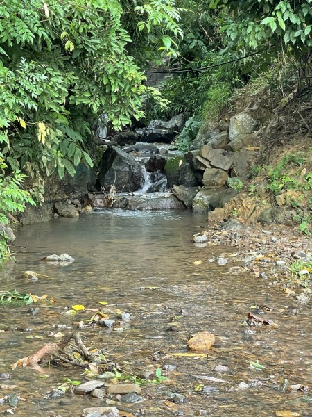 Đi đến slide 10