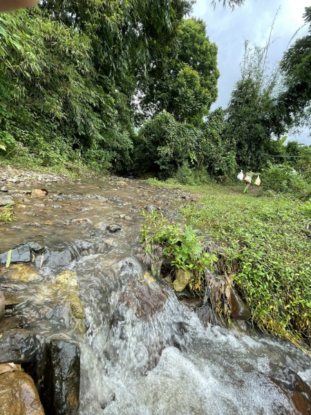 Đi đến slide 9