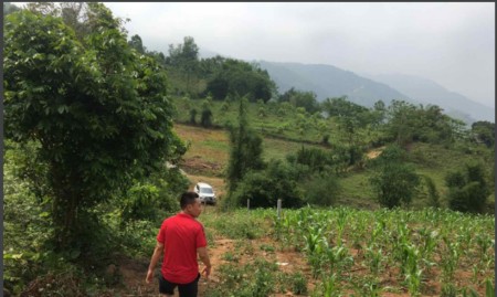 Đi đến slide 5