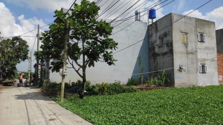 Đất nhà vườn diện tích: 5x23m, gần Trường Tiểu Học Bình Mỹ. 550 triệu