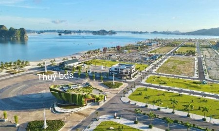 Cần cắt lỗ 87m2 LK26 đẹp nhất dự án Phương Đông Vân Đồn 4.3ty