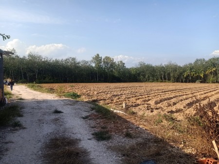 Đi đến slide 1