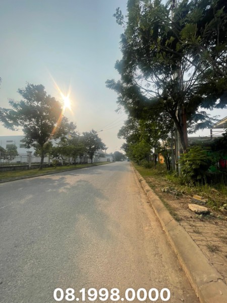 Cho thuê kho xưởng khu công nghiệp Phú Nghĩa Chương Mỹ Hà Nội