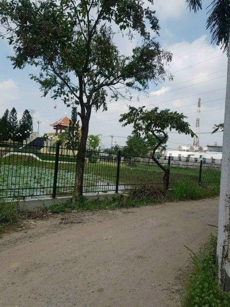 Đất Đường Vườn Lài An Phú Đông Vườn Q12 100.7m Giá 3 tỷ 2