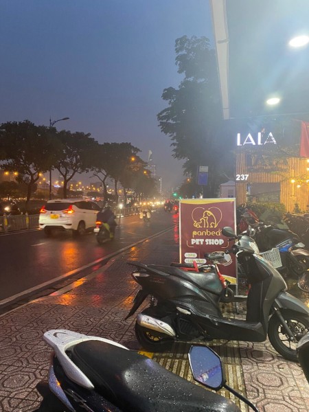 Đi đến slide 5
