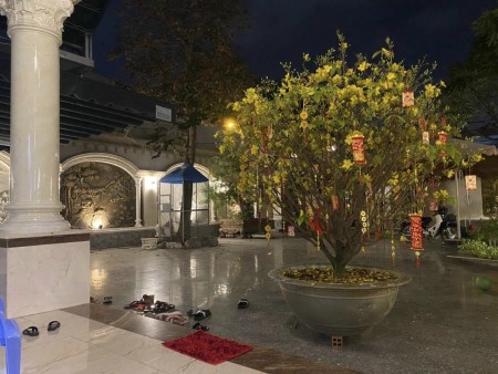 Biệt thự sân vườn đẹp phường Tân Thới Hiệp, quận 12, DT 810m², giá 32 tỷ đồng
