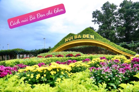 Đi đến slide 4