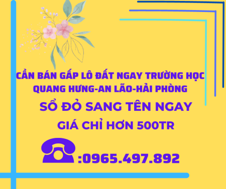 Bán đất sổ đỏ chính chủ sang tên ngay tại An Lão, Hải Phòng