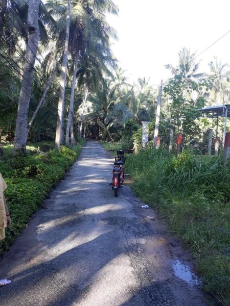 Đi đến slide 3