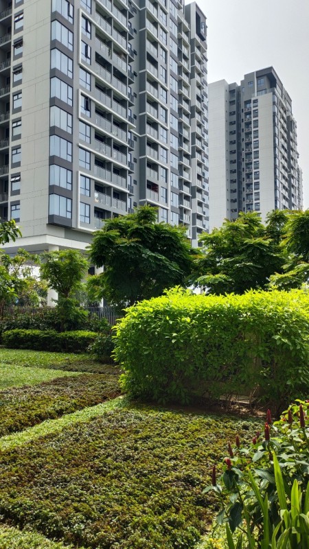 Đi đến slide 12