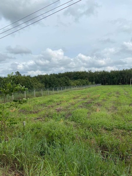 Bán 1,4 sào đất ở TP. Tây Ninh, gần ngay chợ Thạnh Tân, giá chỉ 380 triệu