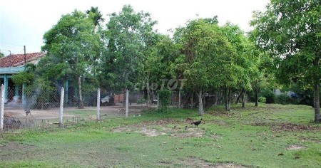 Kẹt vốn ngân hàng nên cần bán gấp Đất Thổ Cư ở Sông Thao, Đồng Nai