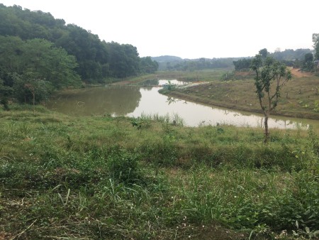 Đi đến slide 1