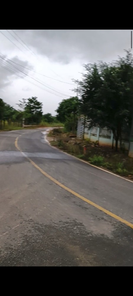 Bán gấp 2 mẫu điều huyện Cát Tiên Lâm Đồng, giá chỉ 1.4 tỷ