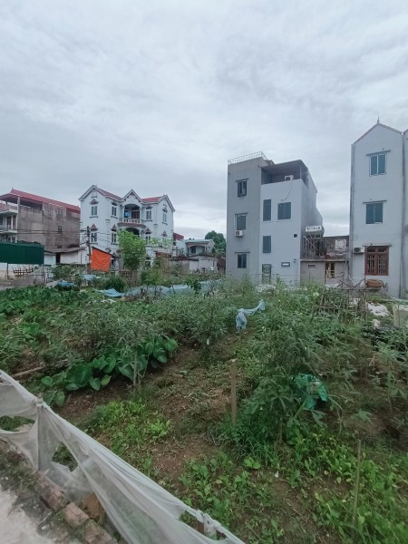Đất rẻ Hoàng Xá Kiêu Kỵ Gia Lâm cần tiền bán gấp 45m, giá hơn 1 tỷ, ô tô đỗ cửa