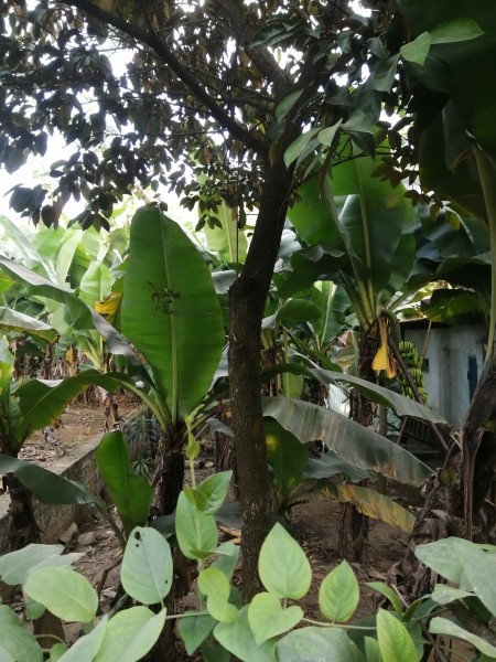 Đi đến slide 6