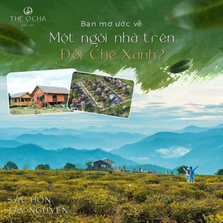 The Ocha Villa nghỉ dưỡng Bảo Lộc, liên hệ 0365555667