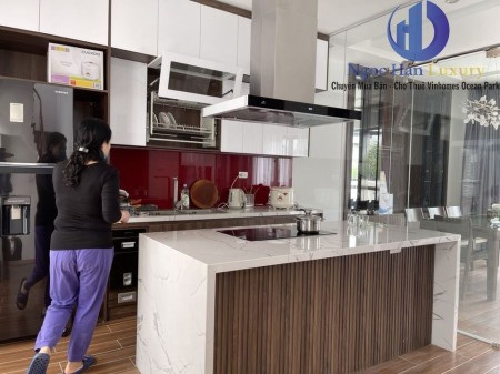 Cho thuê Biệt thự, Full nội thất đồ điện tử. Giá 35 triệu/ tháng tại Vinhomes Ocean Park
