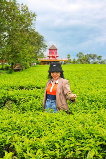 Đi đến slide 2