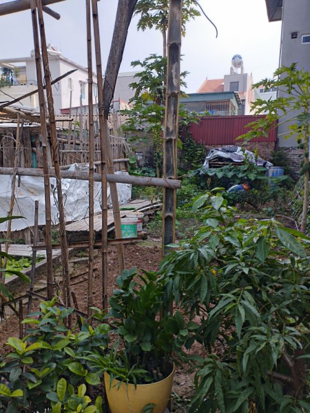 Bán đất Di Ái siêu đẹp, để ở hay đầu tư, DT 55m² gần ô tô nhỉnh giá 2 tỷ LH 0328335312
