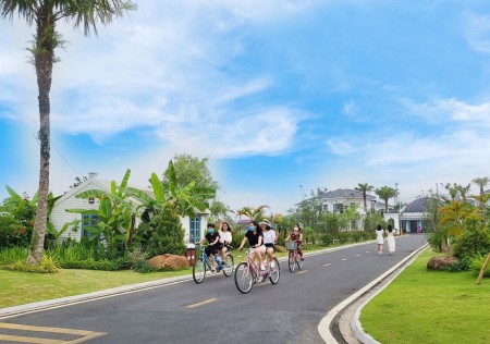 Đi đến slide 11
