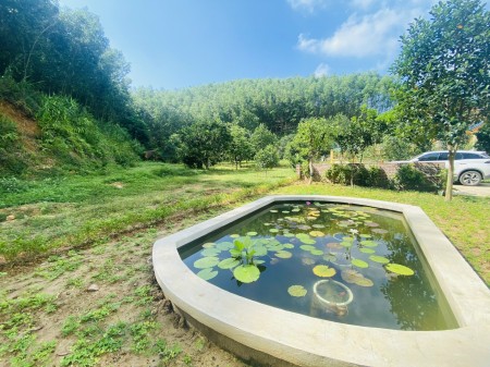 Bán đất 2400m2 Việt Hưng giá chỉ 3 tỷ 9 gần công viên rừng của VINGROUP