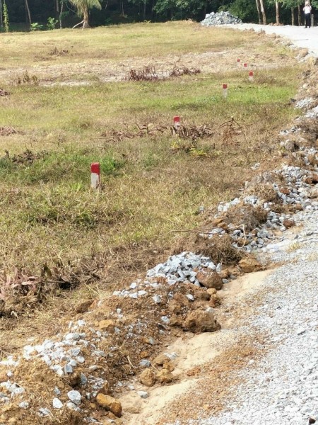 Chính chủ bán 150m2/ giá 790tr, phường Tân Định, Bến Cát, Bình Dương