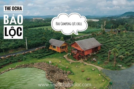 The Ocha đất nghĩ dưỡng hot nhất Bảo Lộc hiện nay, liên hệ chính chủ 036.5555.667
