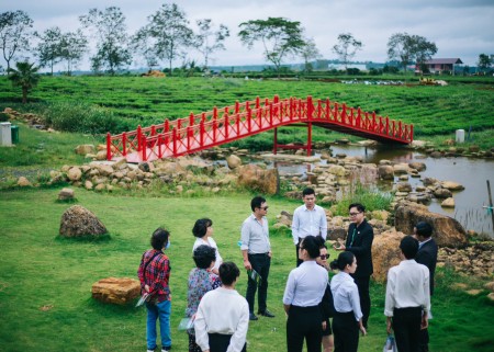 Đi đến slide 6