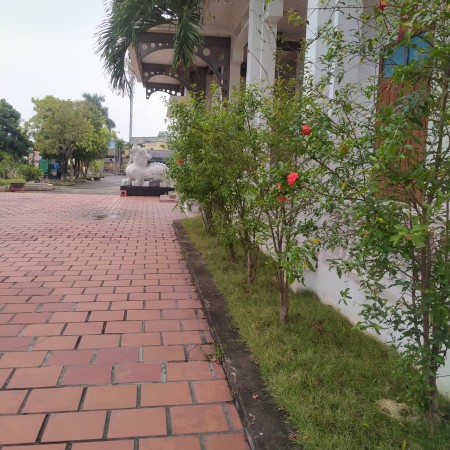 Đi đến slide 8
