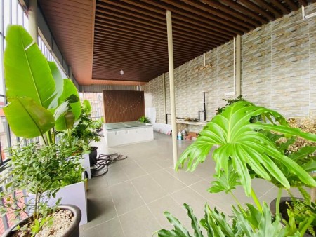 Bán Nhà Ngõ 325, Kim Ngưu HBT, Ngõ 2 Ô Tô Tránh, DT 35m², giá 4,35 tỷ
