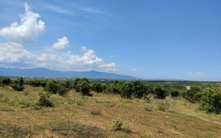 Lô 3742m2 Thôn 4 , Xã Sông Lũy huyện Bắc Bình tỉnh Bình Thuận