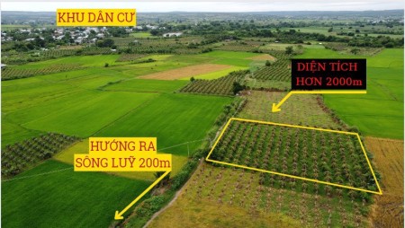 Cần ra nhanh lô đất ngay khu dân cư, ngay sông , giá được cắt lỗ 275tr/sào