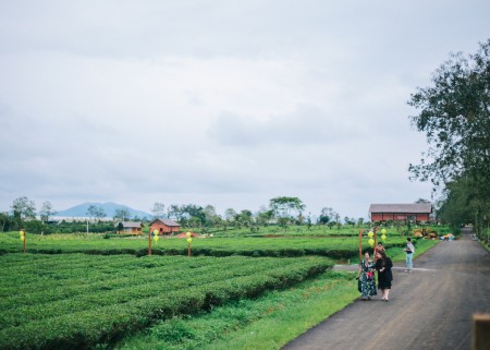 Đi đến slide 2