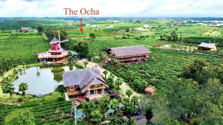 Đi đến slide 5