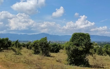 Kẹt tiền cần bán gấp Lô 4090m2 Thị Trấn Chợ Lầu, Huyện Bắc Bình .Tỉnh Bình Thuận