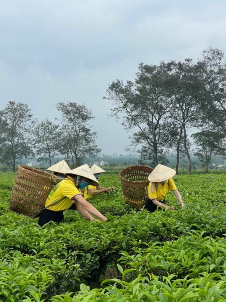 Đi đến slide 3
